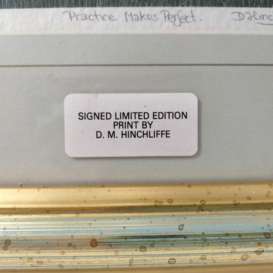 F203 D.M.HINCHLIFFE ヒンチリフ リトグラフ 600部限定 額