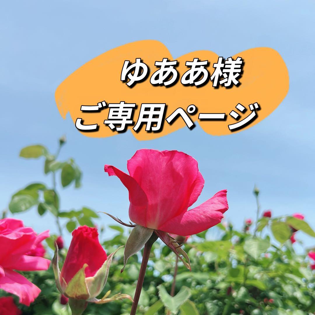 ゆああ様 リクエスト 12点　まとめ商品　パールピアス　パールペンダントトップ VBGA5000KXPF 淡水パール 大粒(約12mm)ピアス｜ピアス｜ヴァンドーム