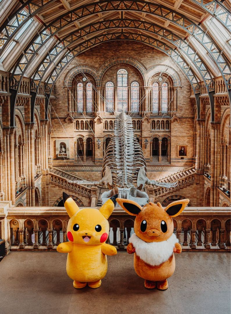 2枚セット Pikachu at the Museum ピカチュウ 自然史博物館 - メルカリ