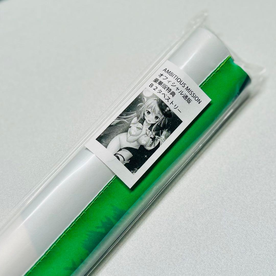 AMBITIOUS MISSION オフィシャル通販 有瀬かぐや タペストリー - メルカリ