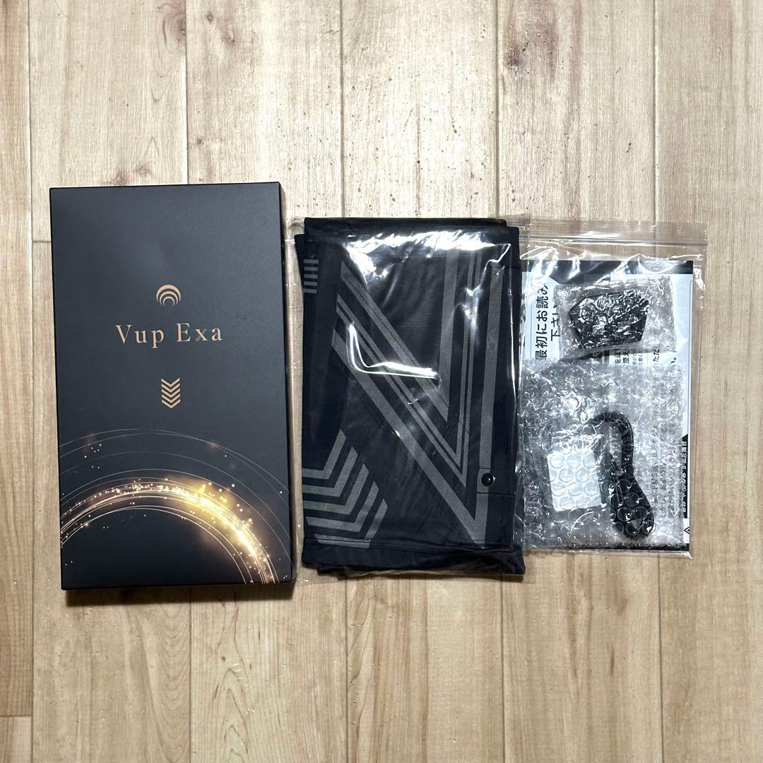 ヒロミプロデュース　Vアップエクサ　EMS トレーニング 腹筋 筋肉