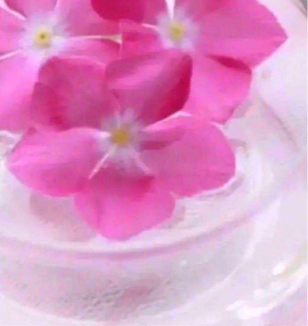 rose おまとめ S クレンジング