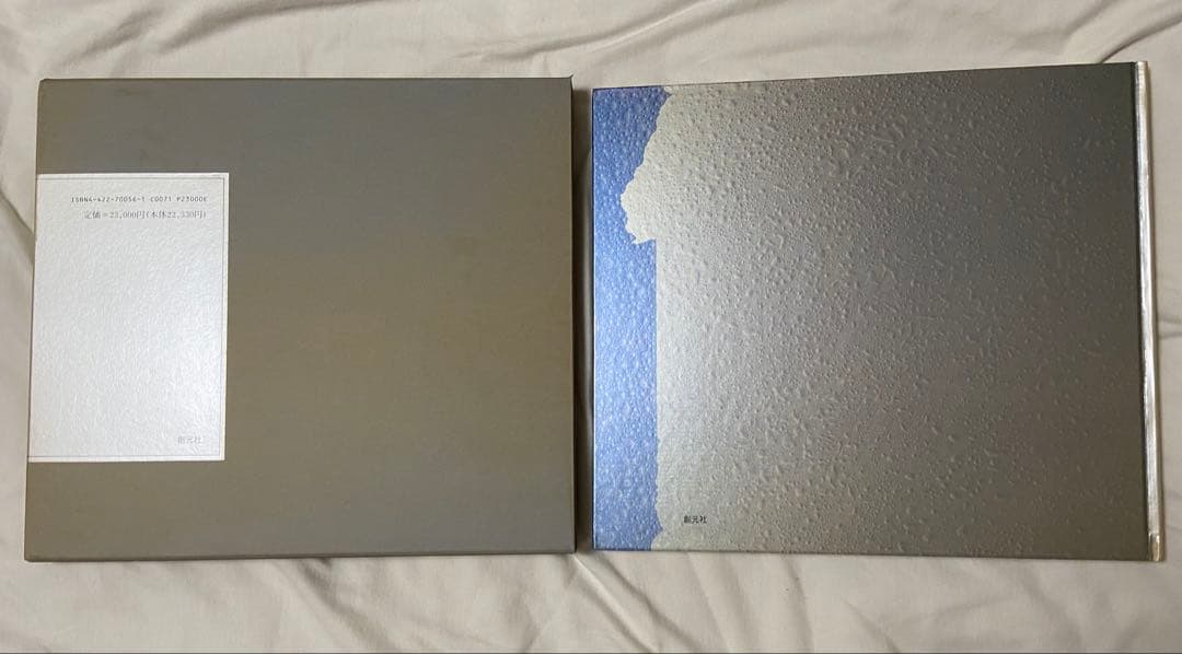 彩馬 河野芳夫 シルクスクリーン 版画 額縁付き サイン入り 河野芳夫