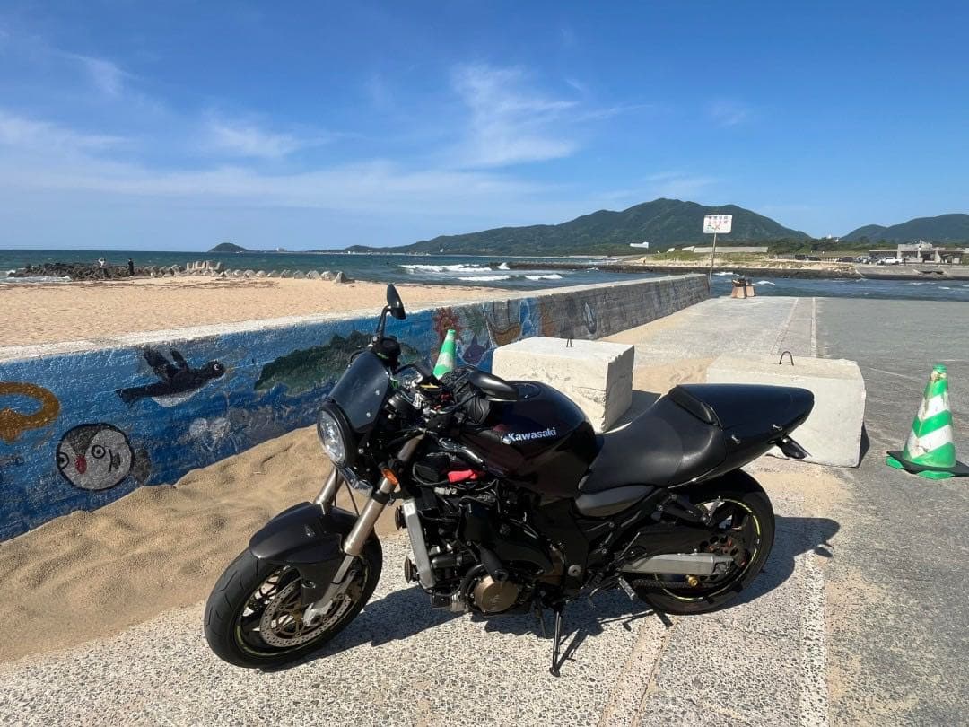 kawasaki ZX12R Ninja マレーシア仕様 A1 - メルカリ