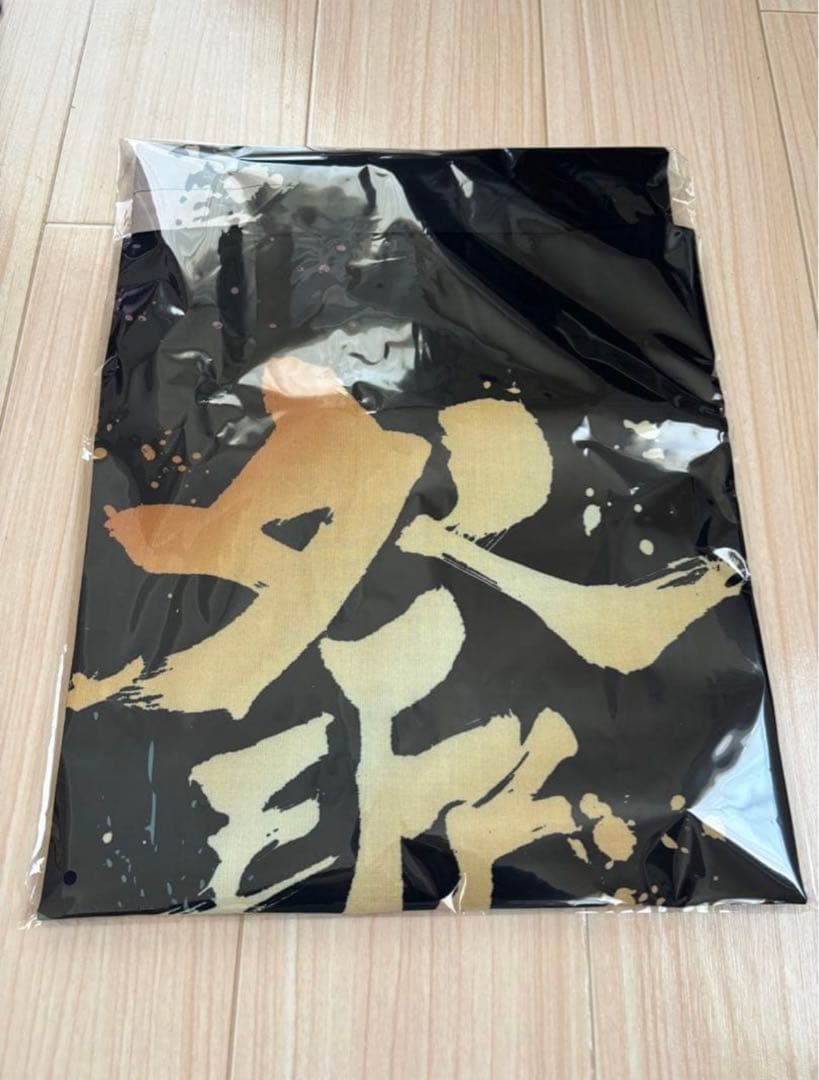 ALFEE法被　51年目の冬祭り 秩父特別バージョン 秩父鉄道