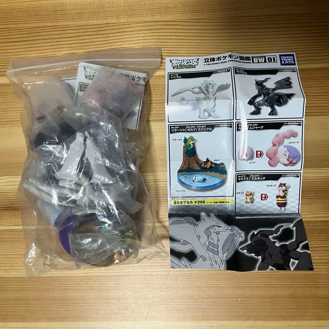 立体ポケモン図鑑 BW01 全5種セット ゼクロム レシラム 新品