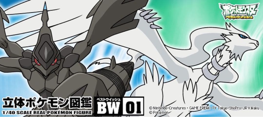 立体ポケモン図鑑 BW01 全5種セット ゼクロム レシラム 新品