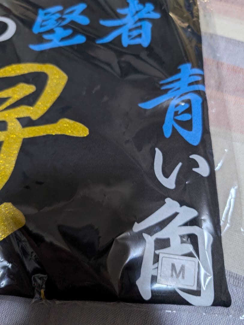 氣志團　焼津公演限定　早乙女光Tシャツ　Mサイズ ②