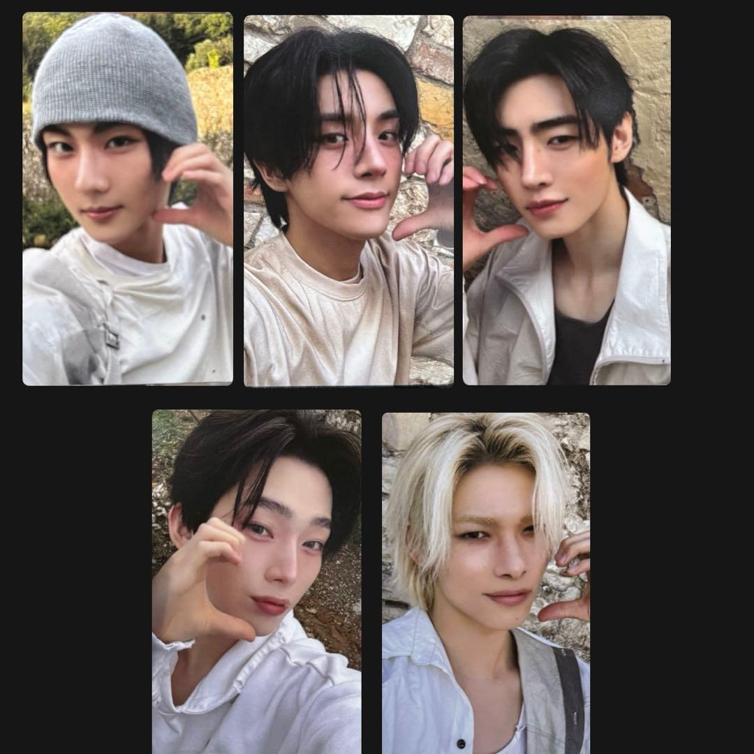 ENHYPEN ショーケース トレカ 5枚セット