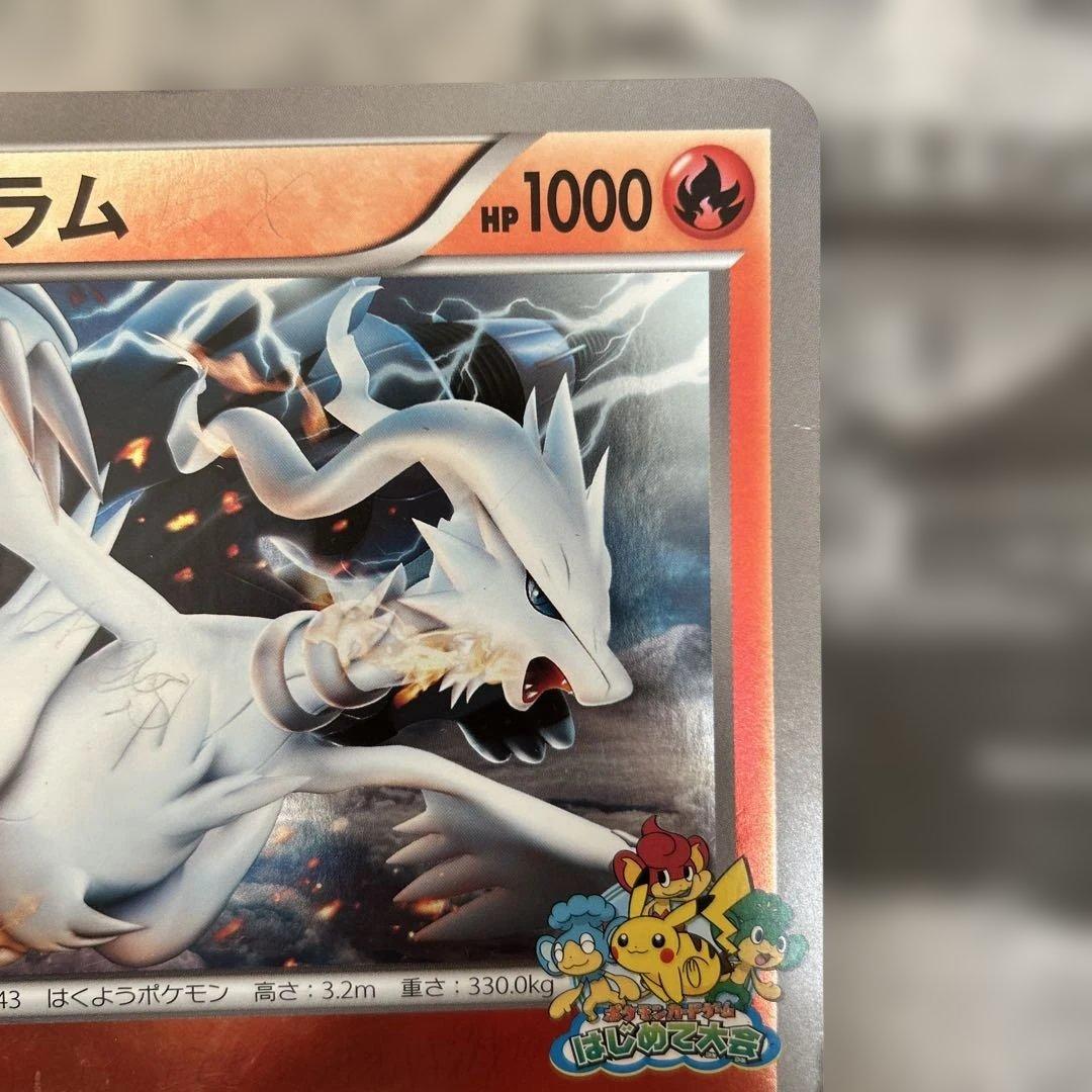 ポケモンカードゲームはじめて大会 チラーミィ レシラム2枚セットの