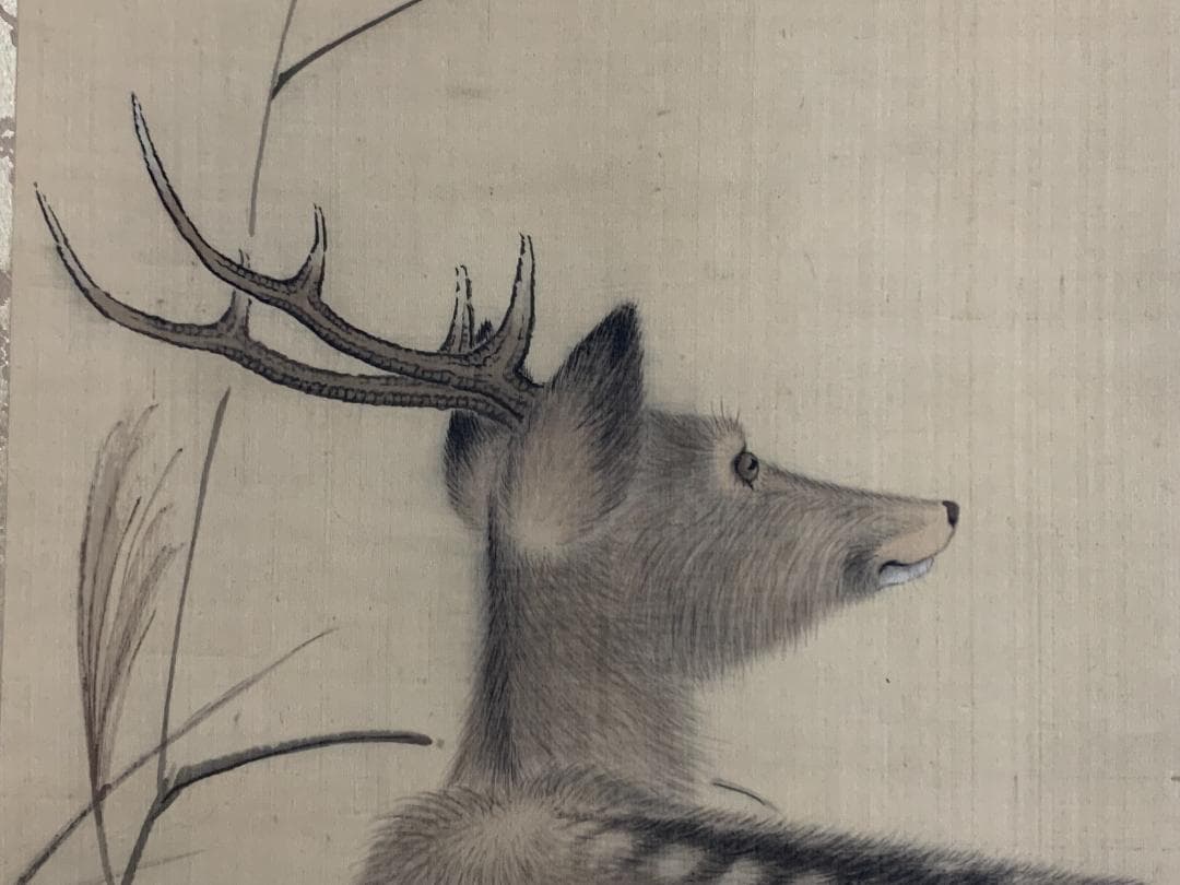 江森晴雲 鹿図 絹本肉筆 掛軸 大阪 森一鳳師事 840 - メルカリ