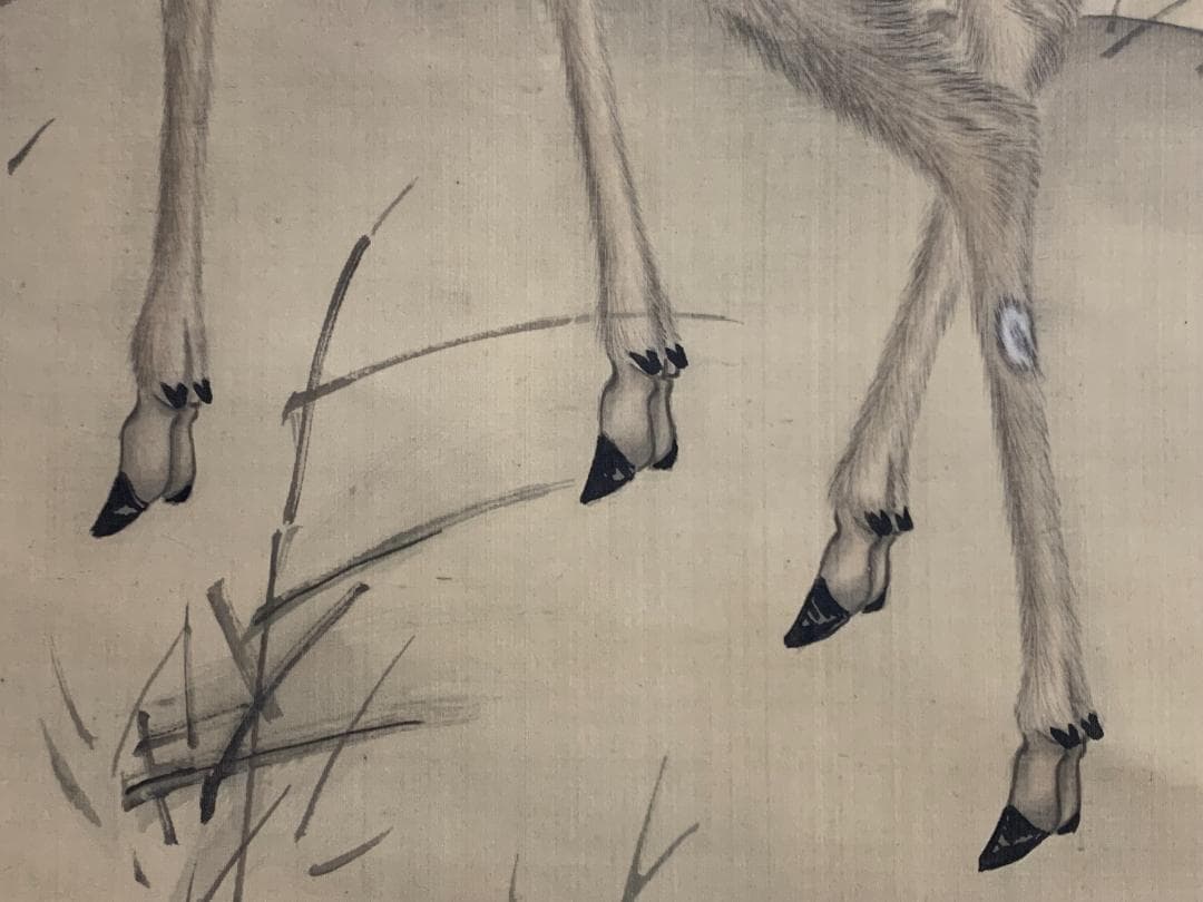 江森晴雲 鹿図 絹本肉筆 掛軸 大阪 森一鳳師事 840 - メルカリ