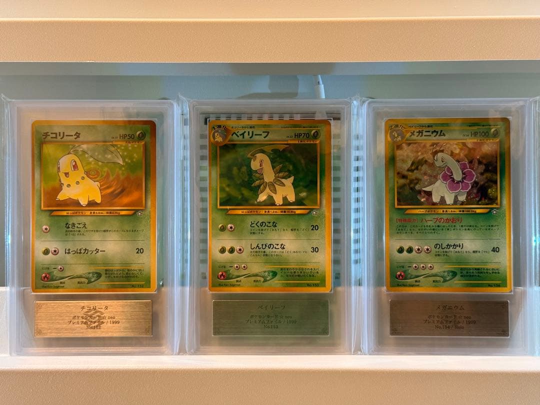 ARS10＋／チコリータ ベイリーフ メガニウム 旧裏 neo ネオ 1999年