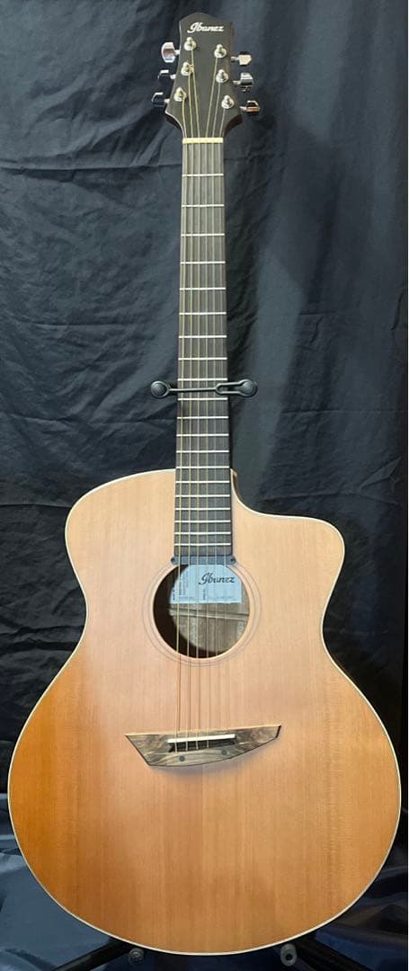 Ibanez PA230E-NSL エレアコ