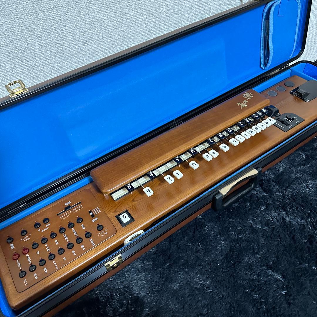 SUZUKI TES-100 電気大正琴 ケース等付属 弦楽器 民族楽器