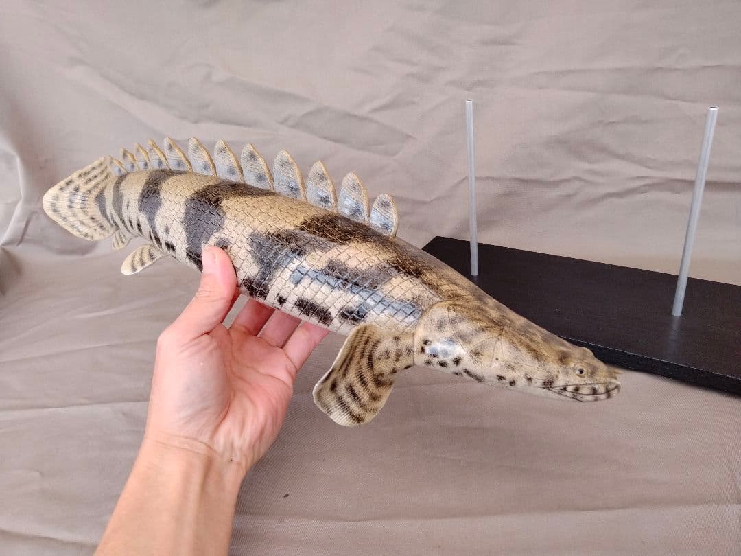 ハンドメイド　50cmポリプテルス　フィギュア　レプリカ　熱帯魚　古代魚