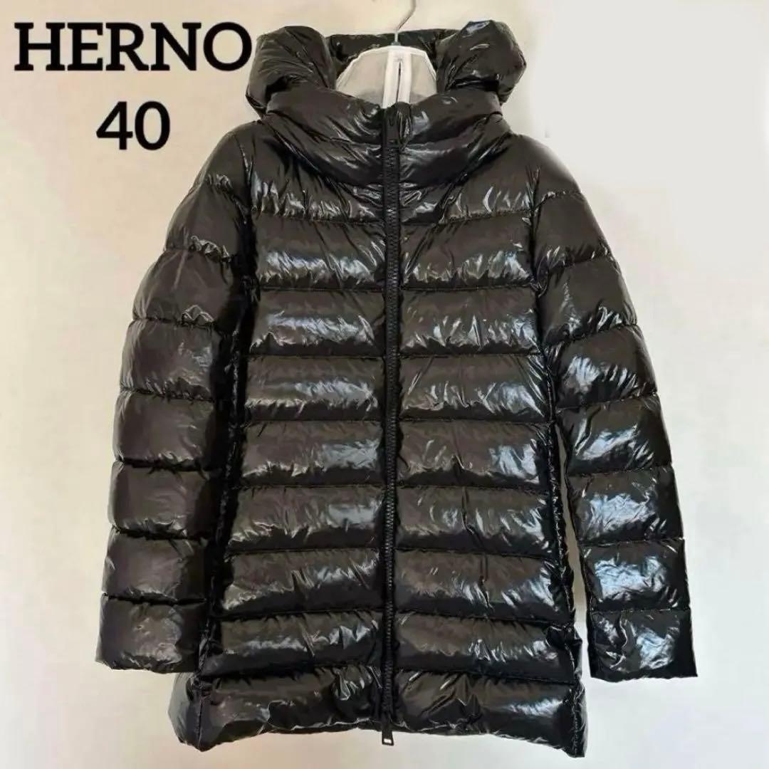 ル*コ様 HERNO ヘルノ 40 ダウン　ジャケット　グロッシー　ダウンコート
