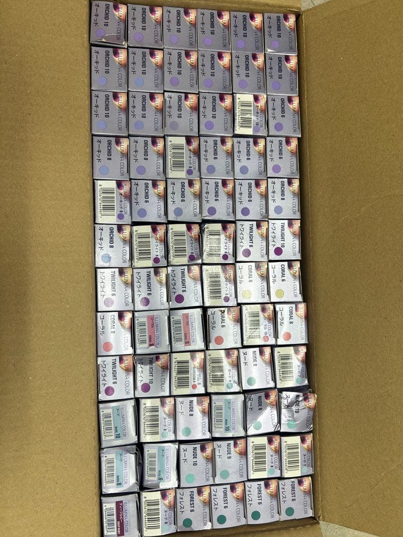 大特価　イルミナカラー72本