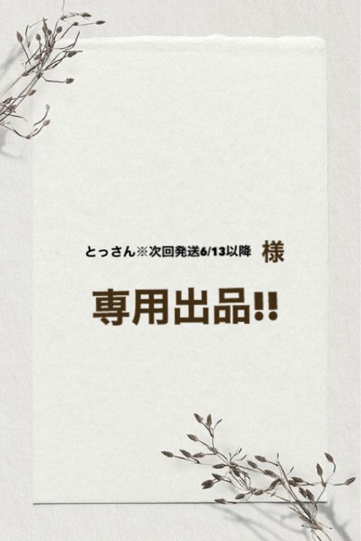 とっさん※次回発送6/13以降 出品
