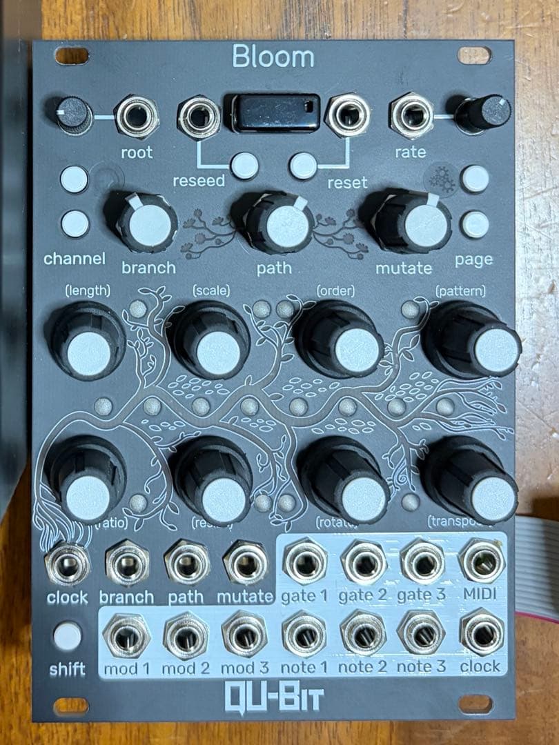 大幅値下げQu-bit Electronix Bloom v2 - メルカリ