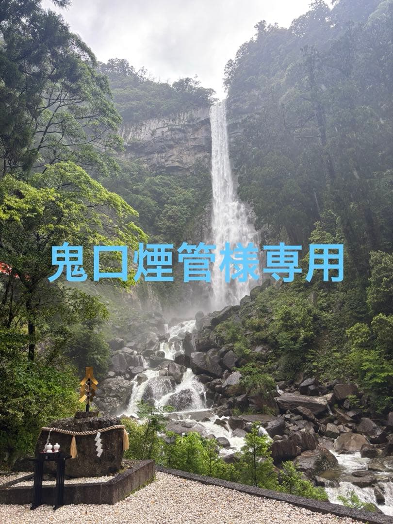 (専用)ツノガイ6種類セット