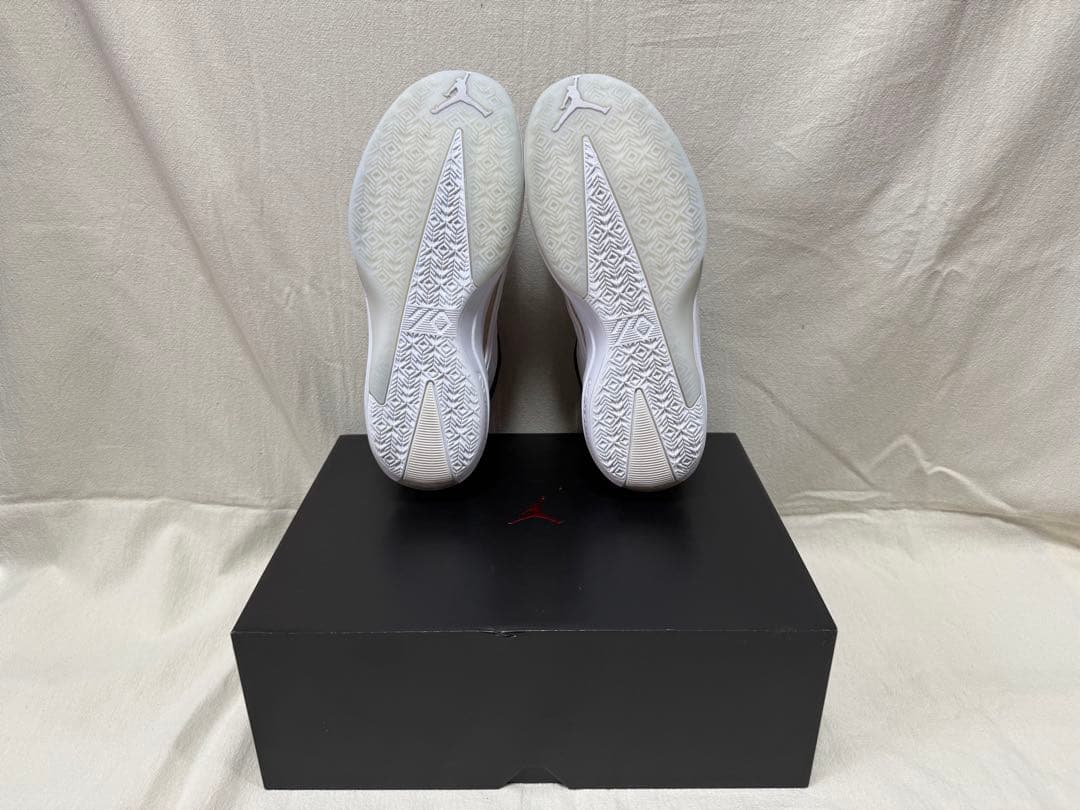 エアジョーダン40 PF “The Classic” 28.5cm 10 1/2