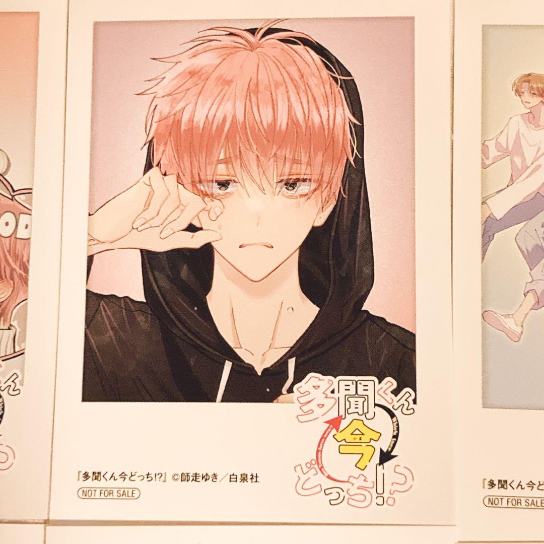 多聞くん今どっち！？ アニメイト フェア ミニフォトカード 全8種