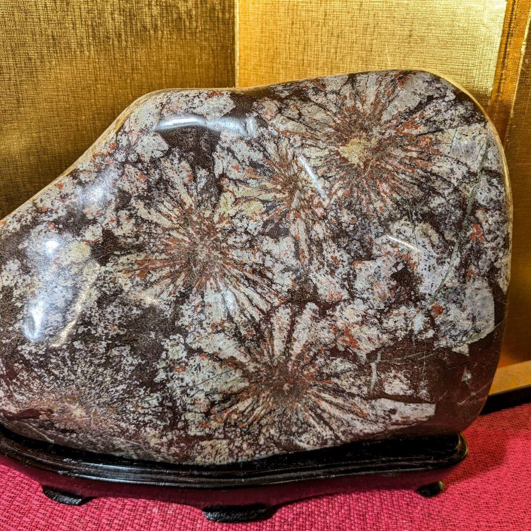 Gojyo様専用】菊花石 岐阜県根尾谷産5.2㌔ 鑑賞石 観賞石 水石 盆石