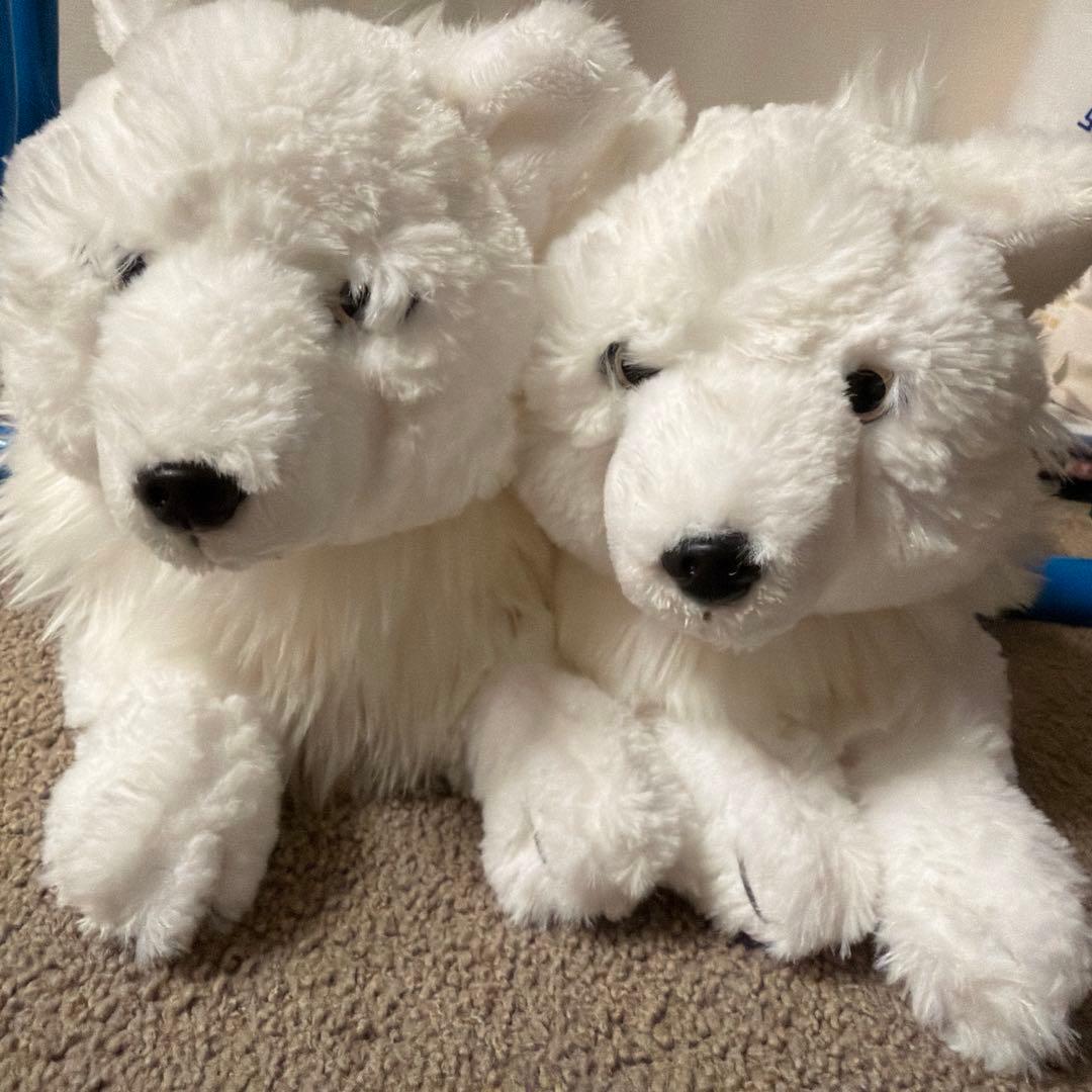 那須どうぶつ王国 限定 ひざおおかみ ホッキョクオオカミ S ぬいぐるみ 2個