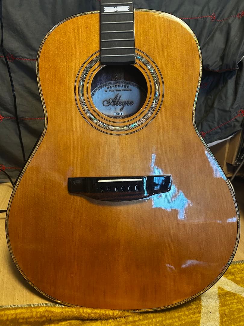 Alegre アコースティックギター　純正ピックアップ付 アストリアスから、新ピックアップ搭載のエレアコ登場
