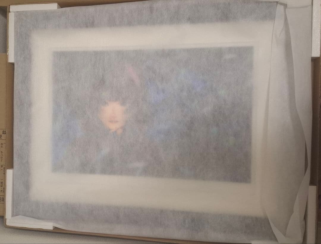 マ*リ様 【6.8まで値下げ】美樹本晴彦 「版画 凛冬・舞」 保証書付き