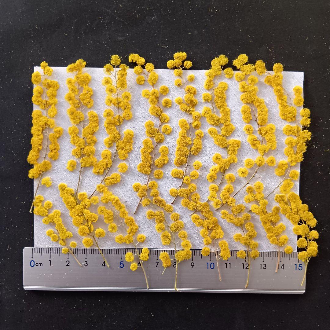 mei closet..~*。様 リクエスト 4点 まとめ商品 - メルカリ