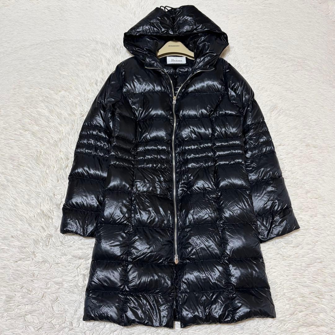 極美品　ヘルノ　Ultralight ダウンコート　ロング丈　フード HERNO（ヘルノ） ダウンコート PI001519D 12017Z レディース フード