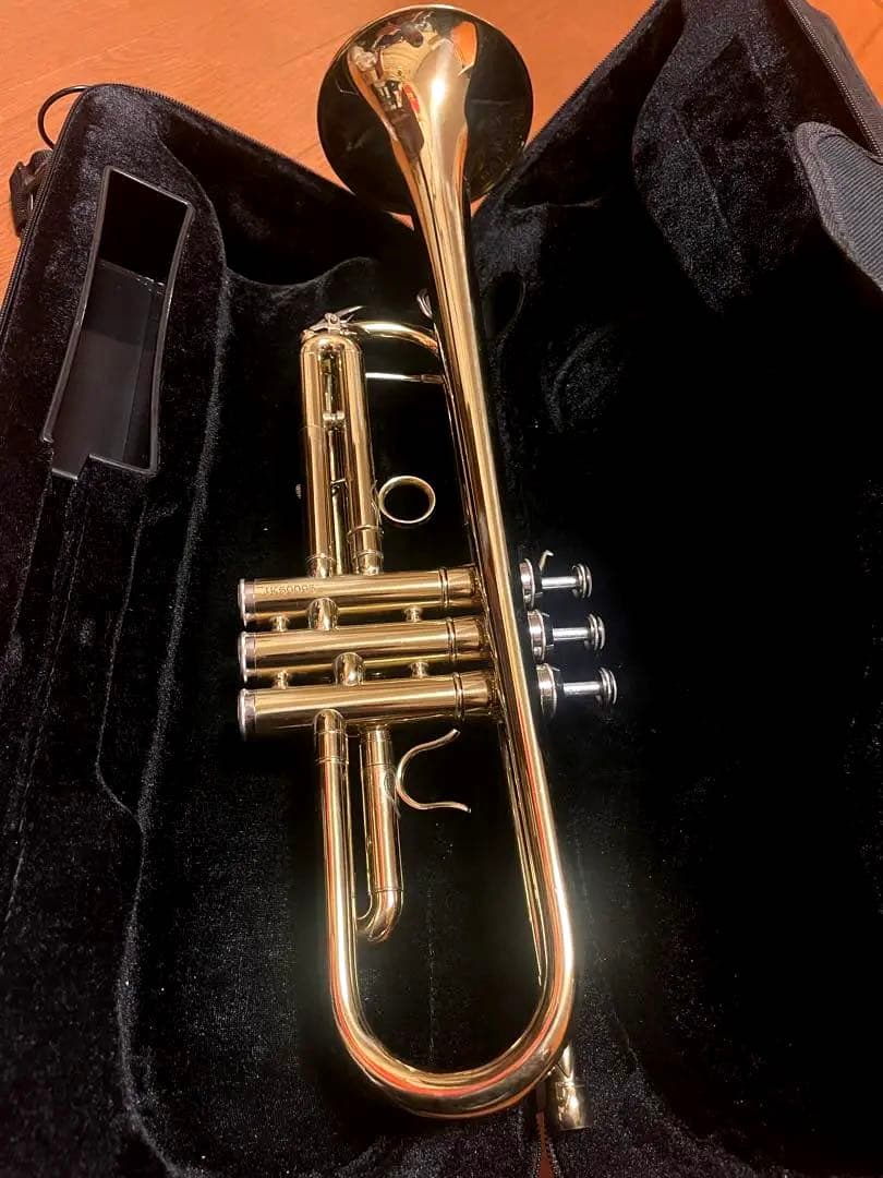 セルバ 初心者用トランペット ゴールド.