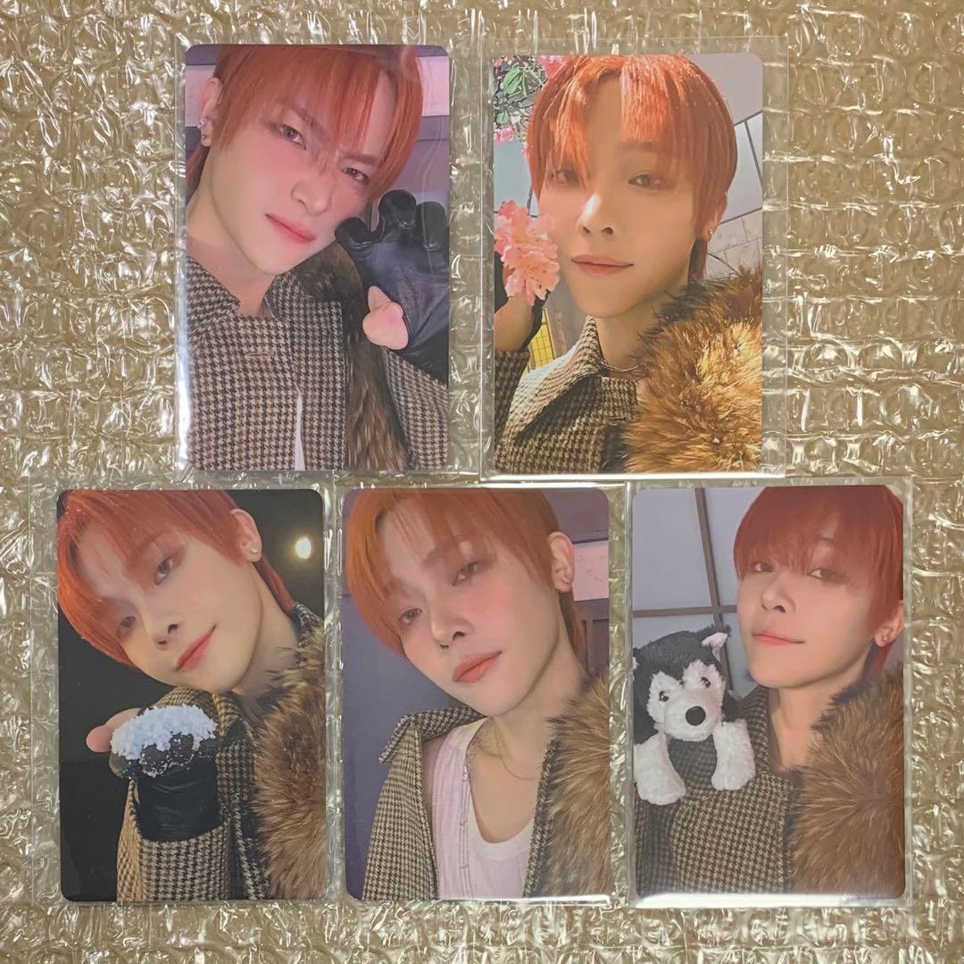 &TEAM NICHOLAS ニコラス 雪明かり - メルカリ