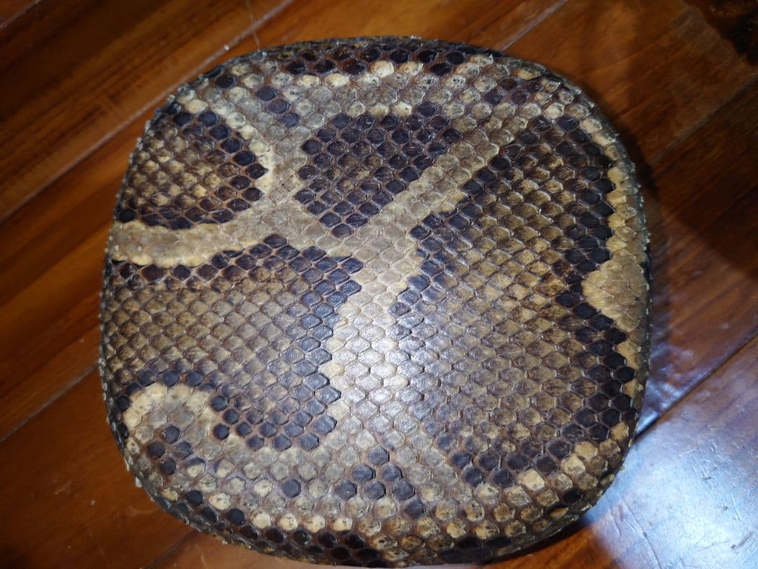 沖縄三線　チャーギチーガ　本皮片面張り