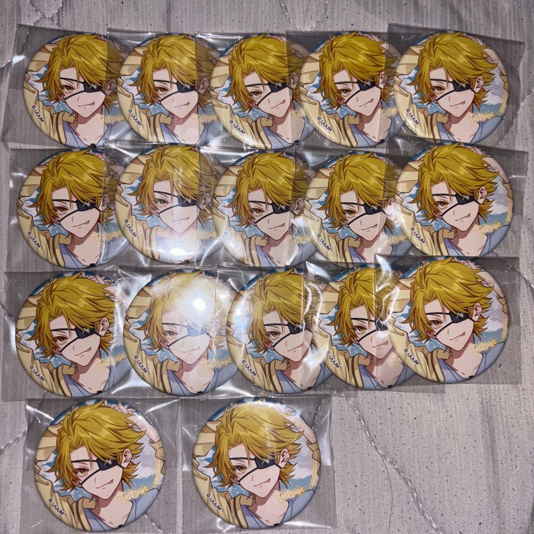 缶バッジ 17個セット たっつん ひらかたパーク カラフルピーチ から