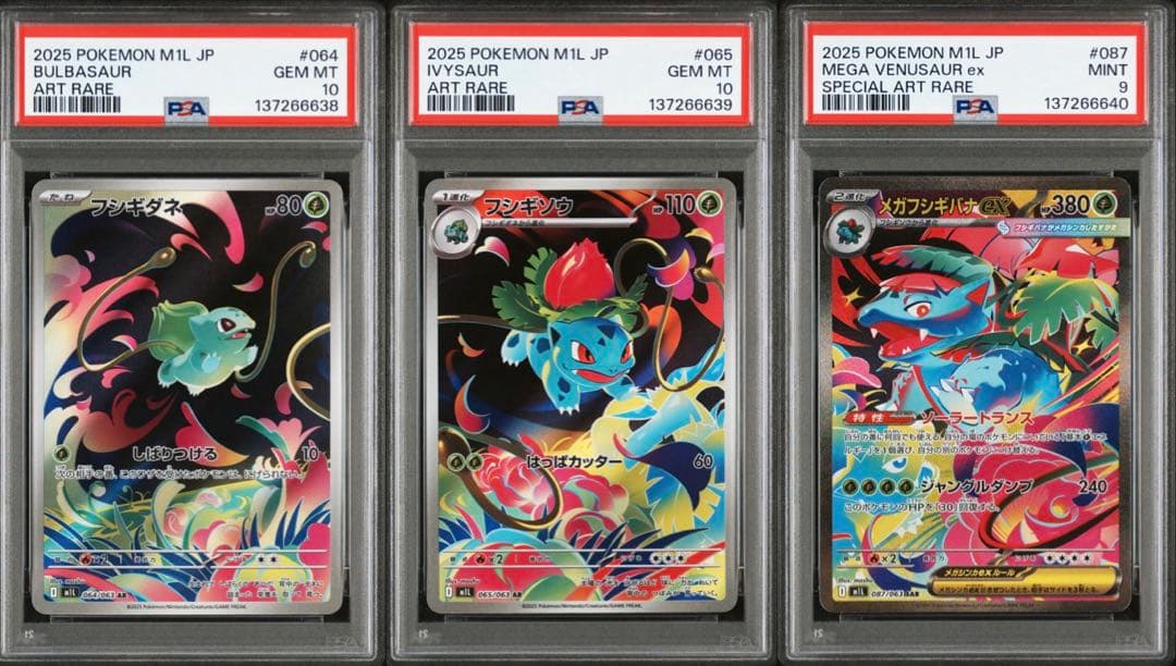 メガフシギバナ ex SAR 進化ライン 3連番セット PSA10 PSA9