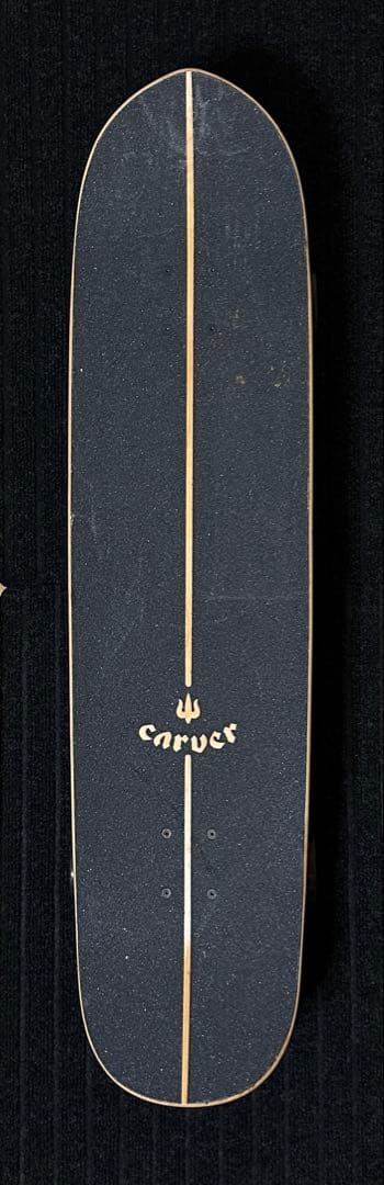 スケートボード carver カーバー 日本限定モデル CARVER カーバー ロング スケートボード LANDスケート