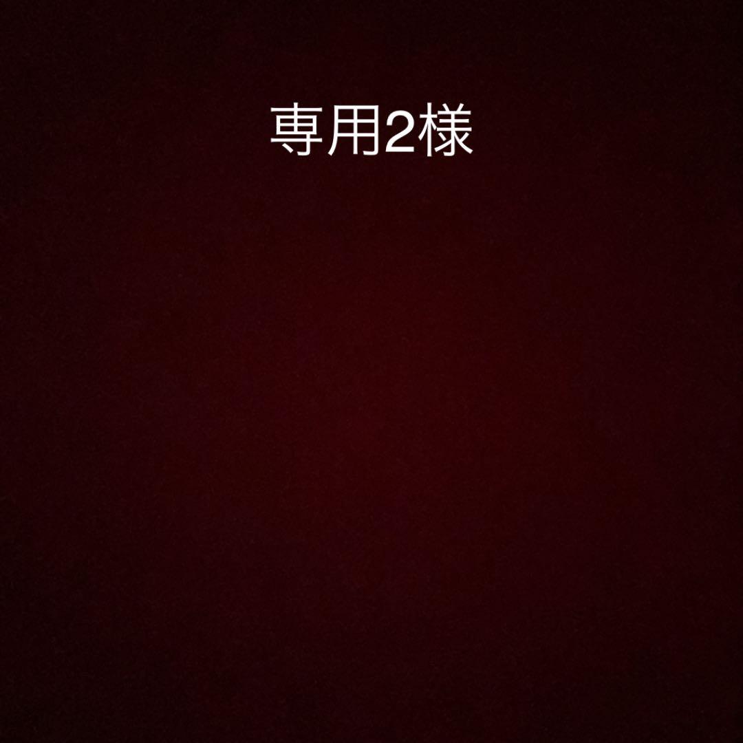 メタバリア100専用