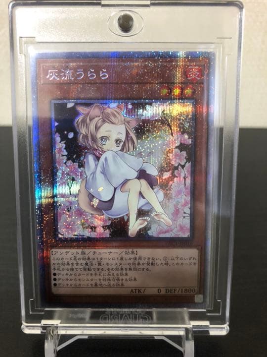 遊戯王 🌼 スターダスト 構築済みデッキ メイン40+EX15 公式スリーブ付き！