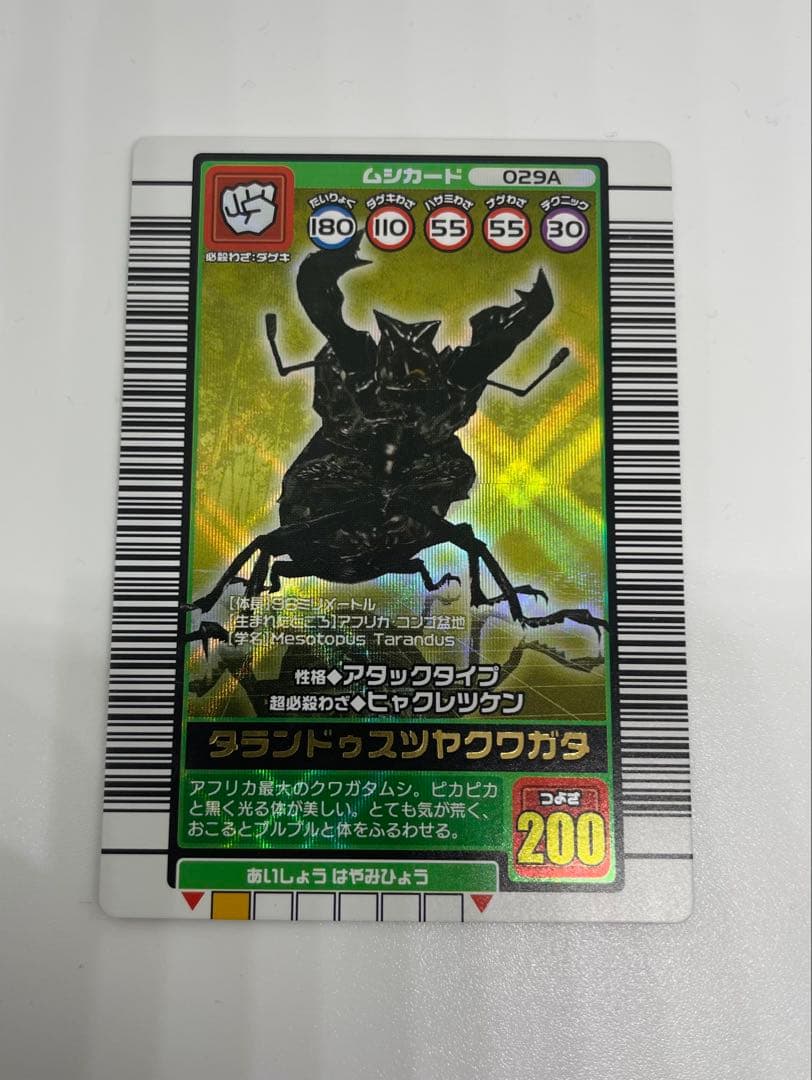 ムシキング　タランドゥスツヤクワガタ
