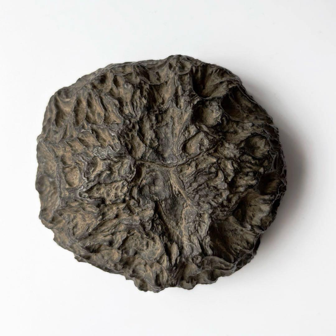 天然石 メロン馬蹄石 隕石 テクタイト 523g