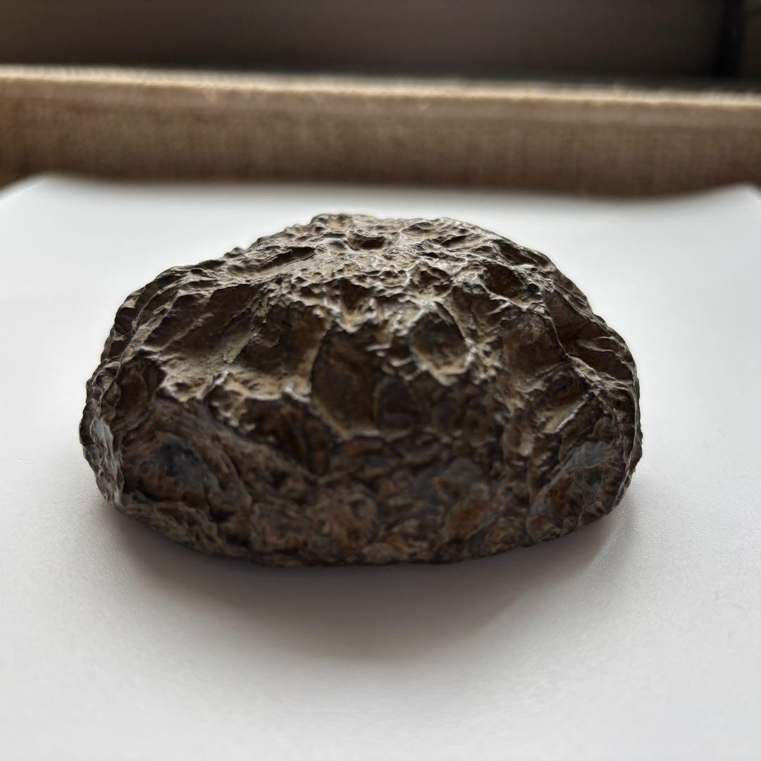 天然石 メロン馬蹄石 隕石 テクタイト 523g