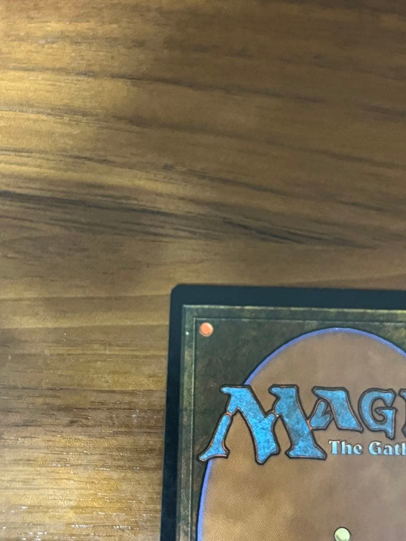 MTG 日本語 錯乱した隠遁者 エラーカード