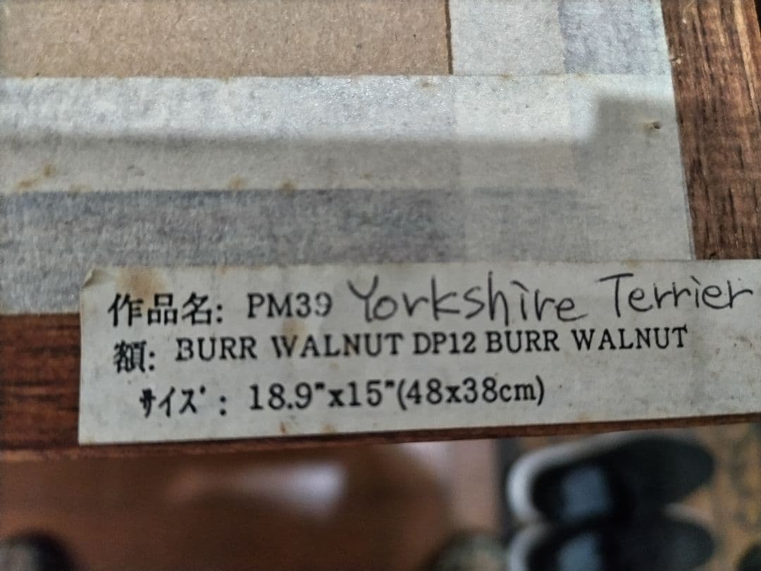 英ポリアンナ・ピカリング作 ヨークシャーテリア仔犬のプリントアート