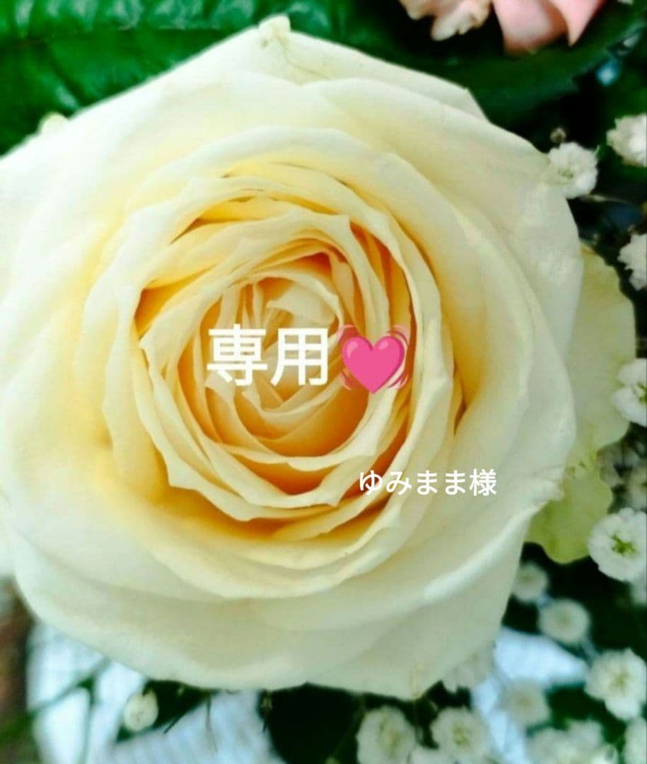 【ゆみまま❤】⭐️ミッション ホワイト アルティメイト クリーム他⭐️
