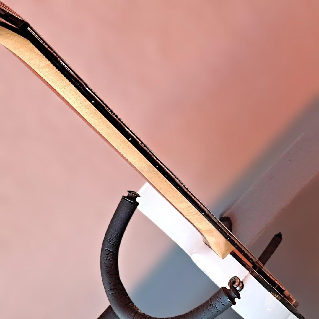 □Ibanez RGIR20FE EMG 81 60 アイバニーズ - メルカリ