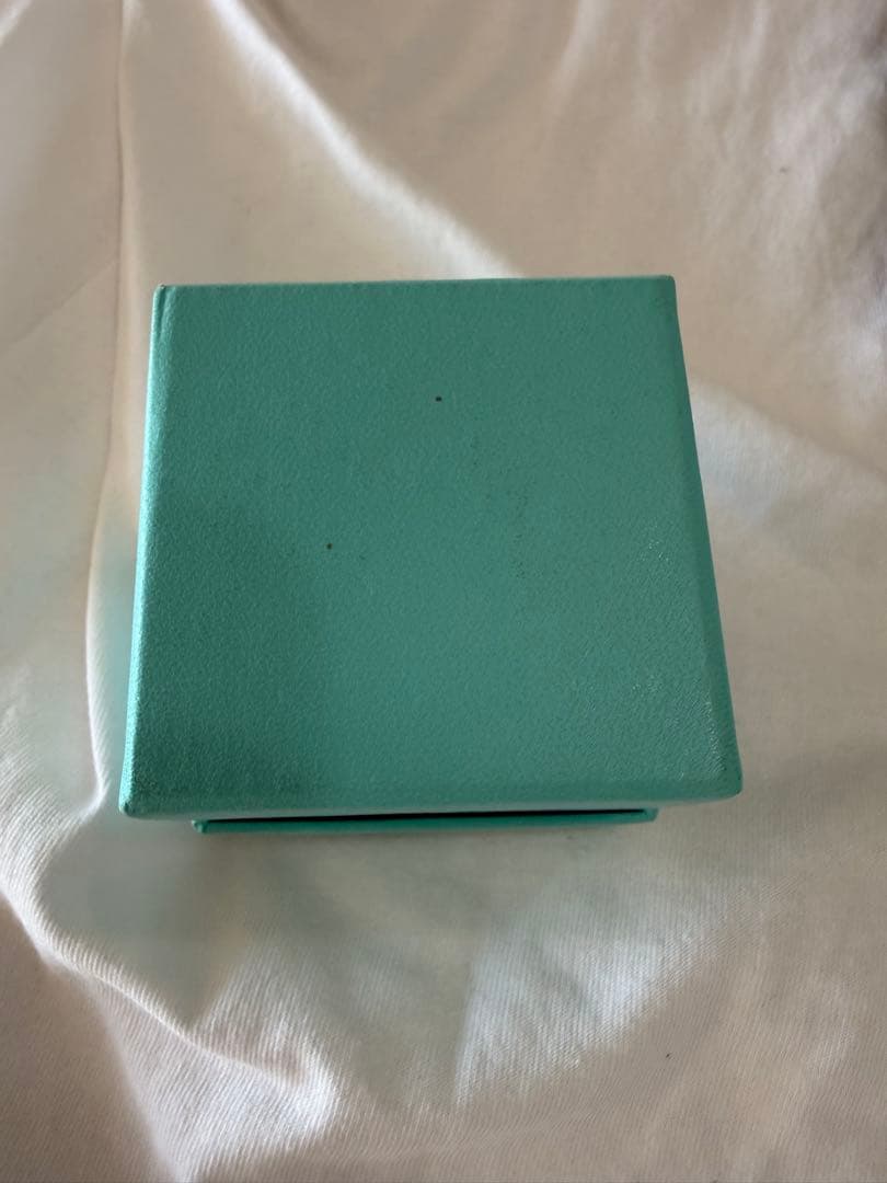 TIFFANY&Co. プリンセスカット 0.22ct PT950 US4