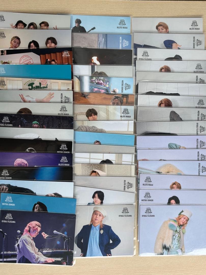 ミセス ゼンジン フォトカ ノーマル コンプリート コンプ まとめ売り